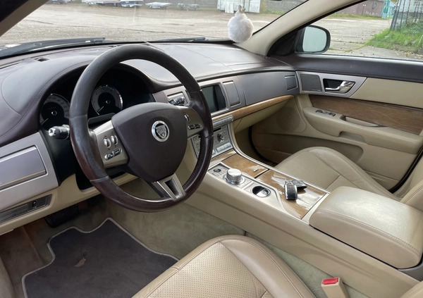 Jaguar XF cena 16700 przebieg: 244580, rok produkcji 2008 z Nysa małe 466